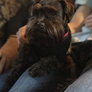 Meet your Posher, Kim